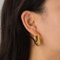 Mini Gold Seashell Shaped | Woman Earrings Regal Hornfire Ladibelle